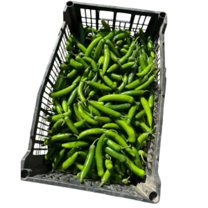 Chile Serrano