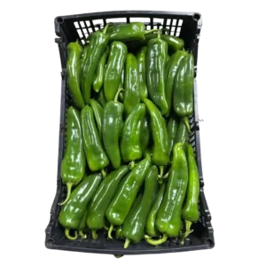 Chile Poblano