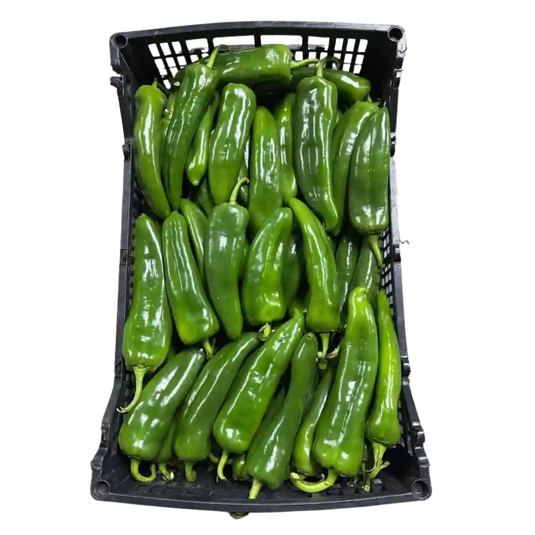 Chile Poblano